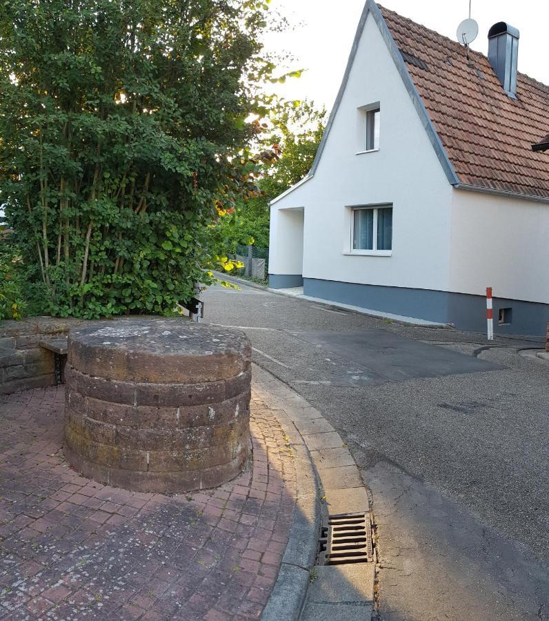 Ferienhaus Alexandra Bollenborn Exterior foto